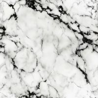 Intricate White Marble Surface With Dark Gray Veining